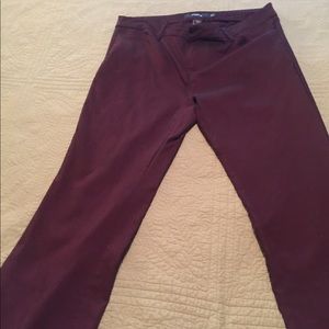 Torrid Slacks / pants